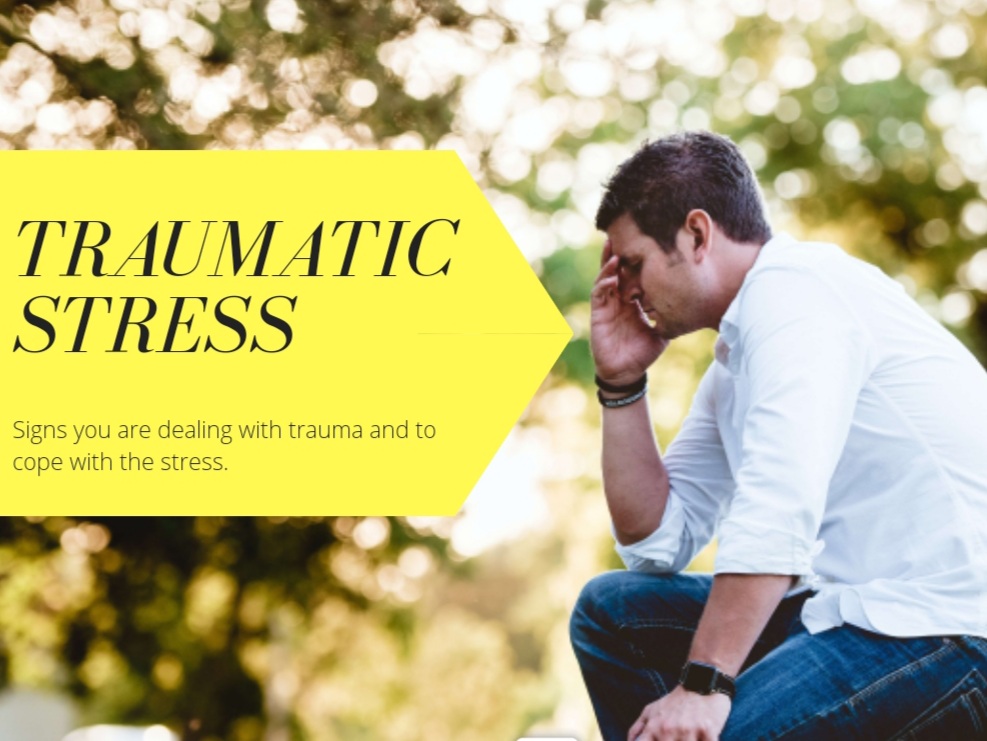 Trauma psychologists