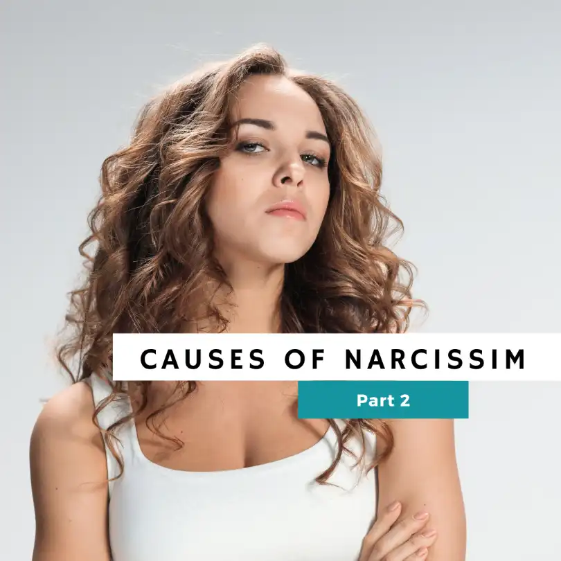 Causes-of-Narcissim